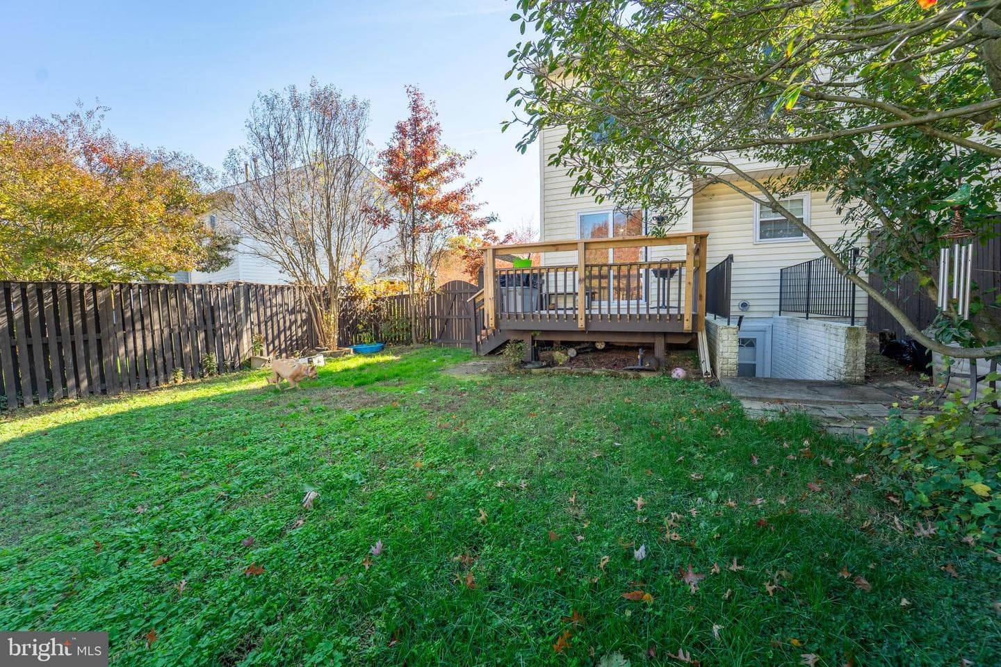 5512 Frazier Terrace photo 29