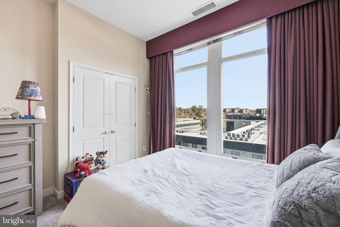 155 Potomac Passage #ph05 photo 15
