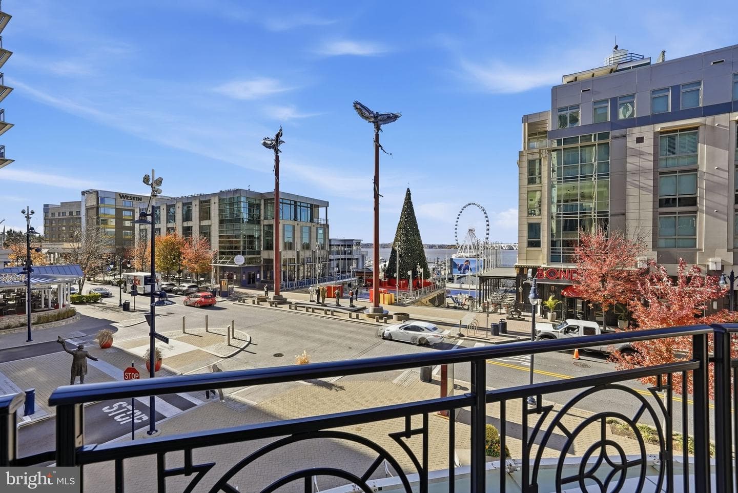 155 Potomac Passage #ph05 photo 32