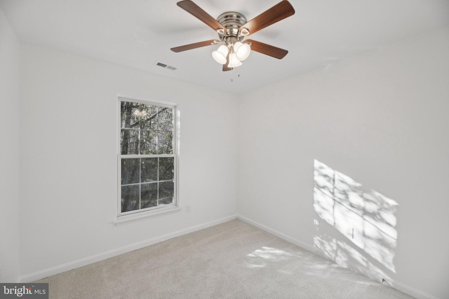 8606 Great Gorge Way photo 15