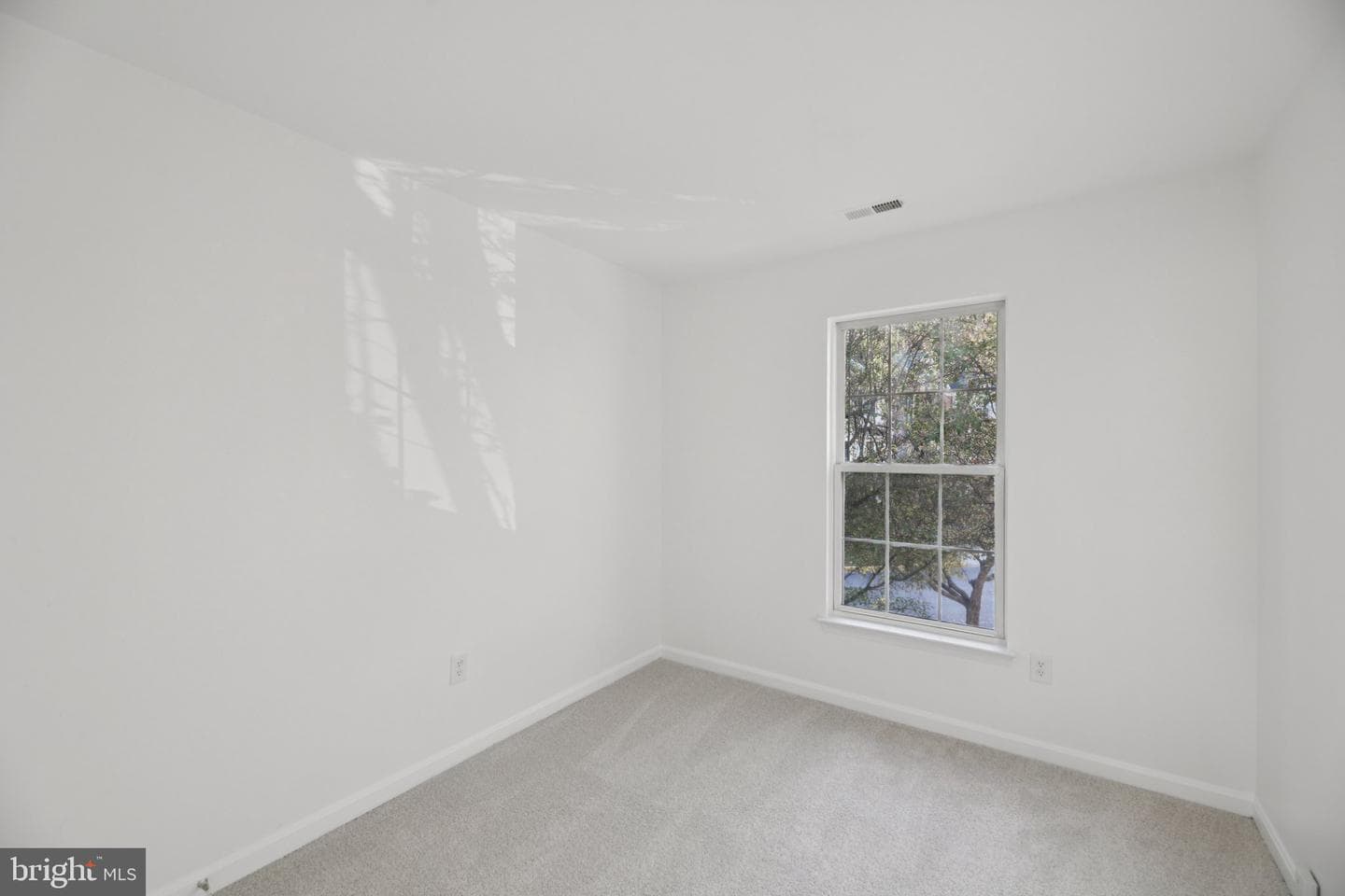 8606 Great Gorge Way photo 17