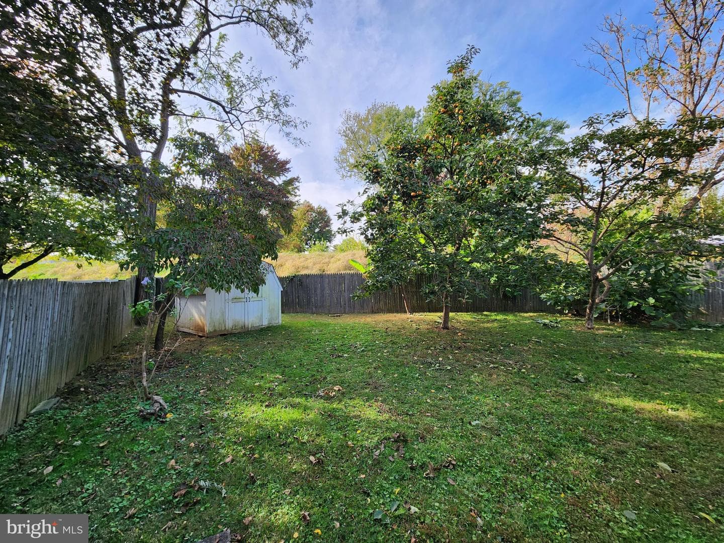 4520 37th Street photo 3
