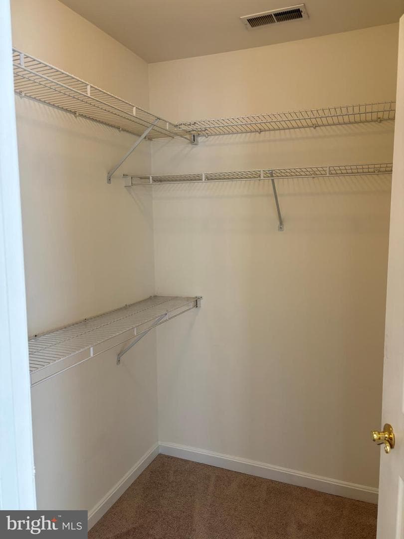 7403 Berryleaf Drive photo 11
