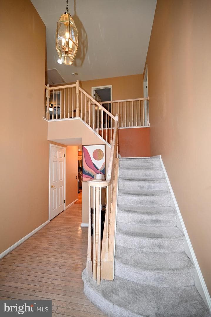 7729 Castle Rock Drive photo 26