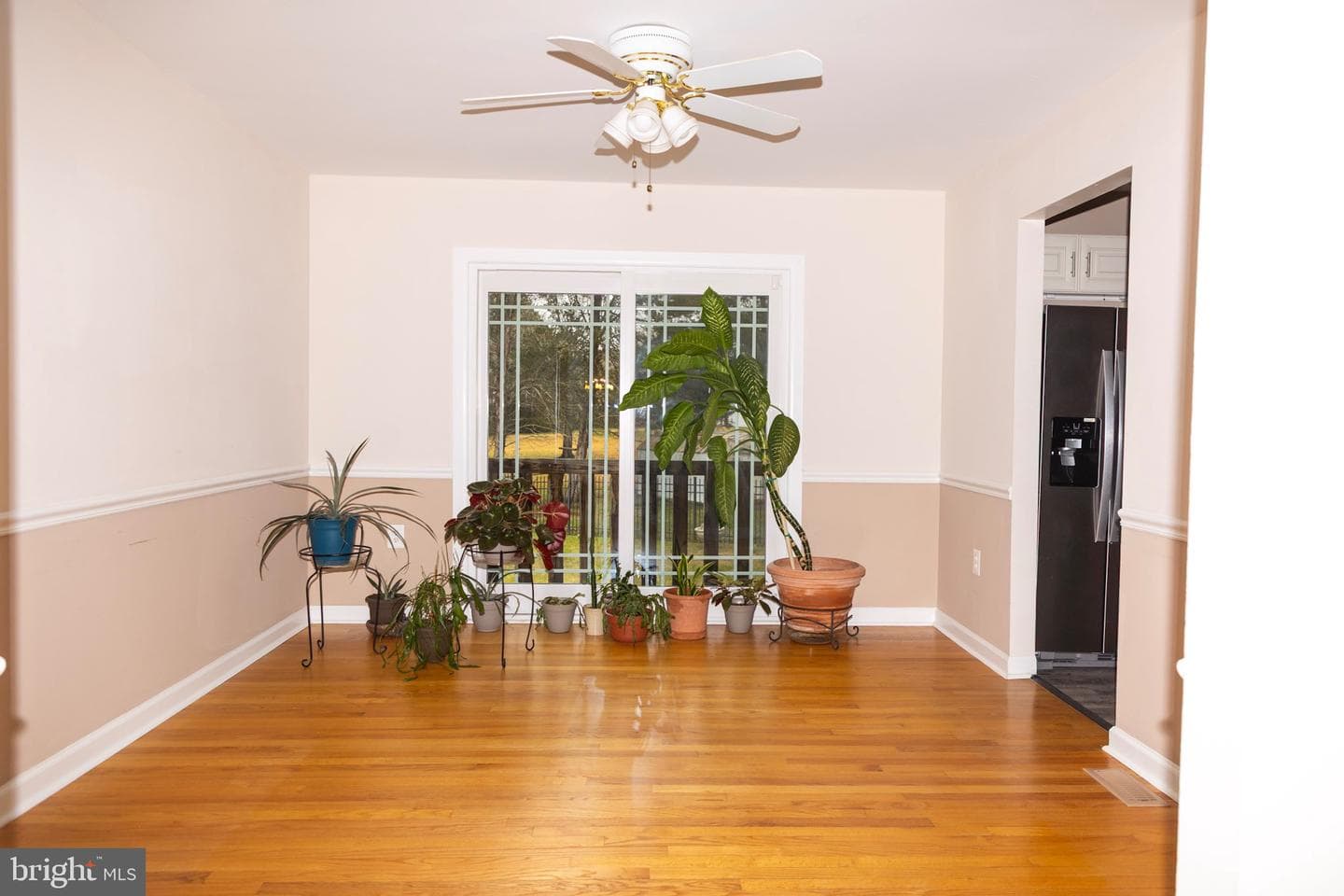 11602 Mary Catherine Drive photo 3