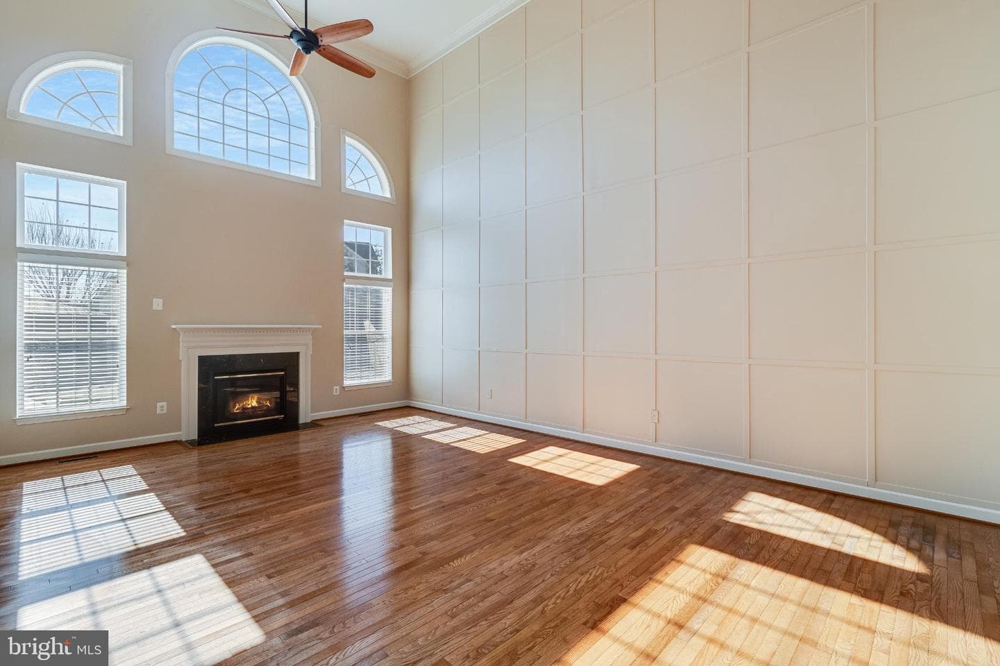 10111 Georgian Lane photo 13