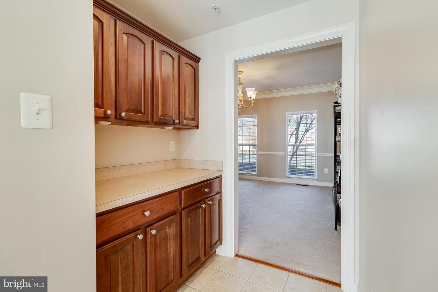 10111 Georgian Lane photo 17