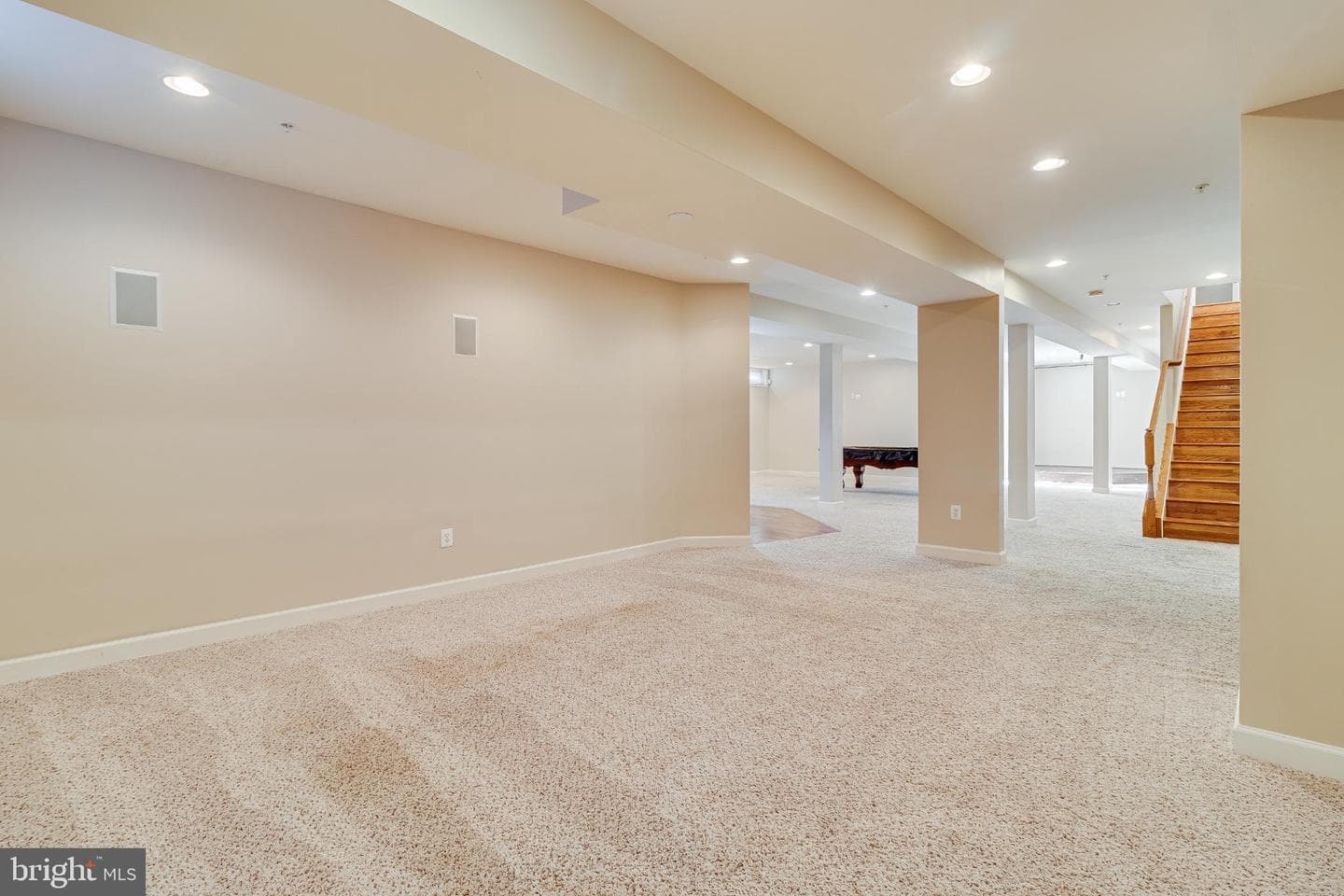 10111 Georgian Lane photo 44