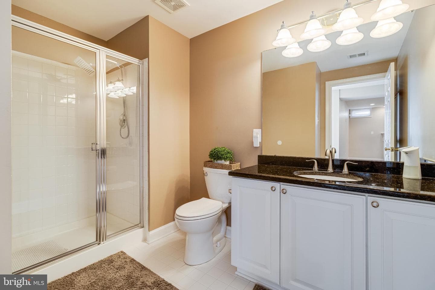 10111 Georgian Lane photo 52