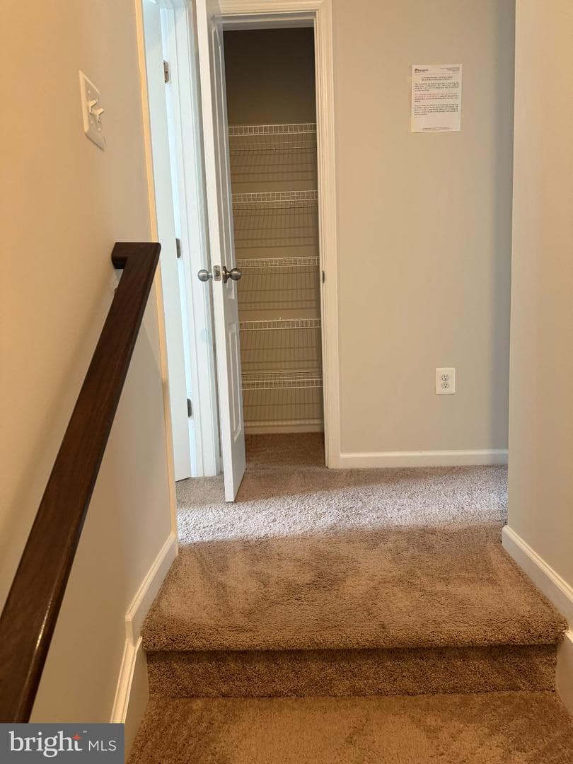 1012 Flester Lane photo 18