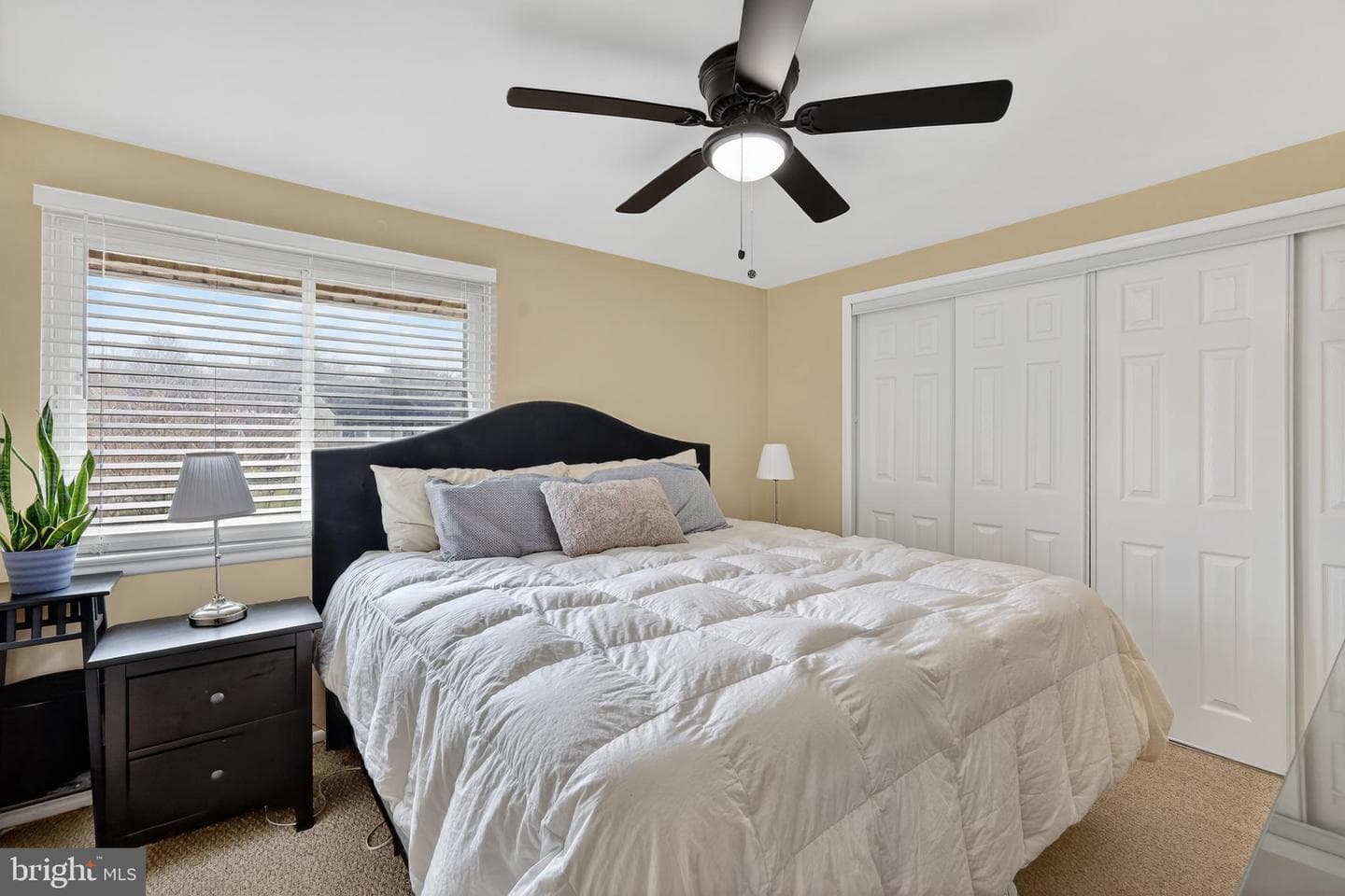 15907 Peach Walker Drive photo 11