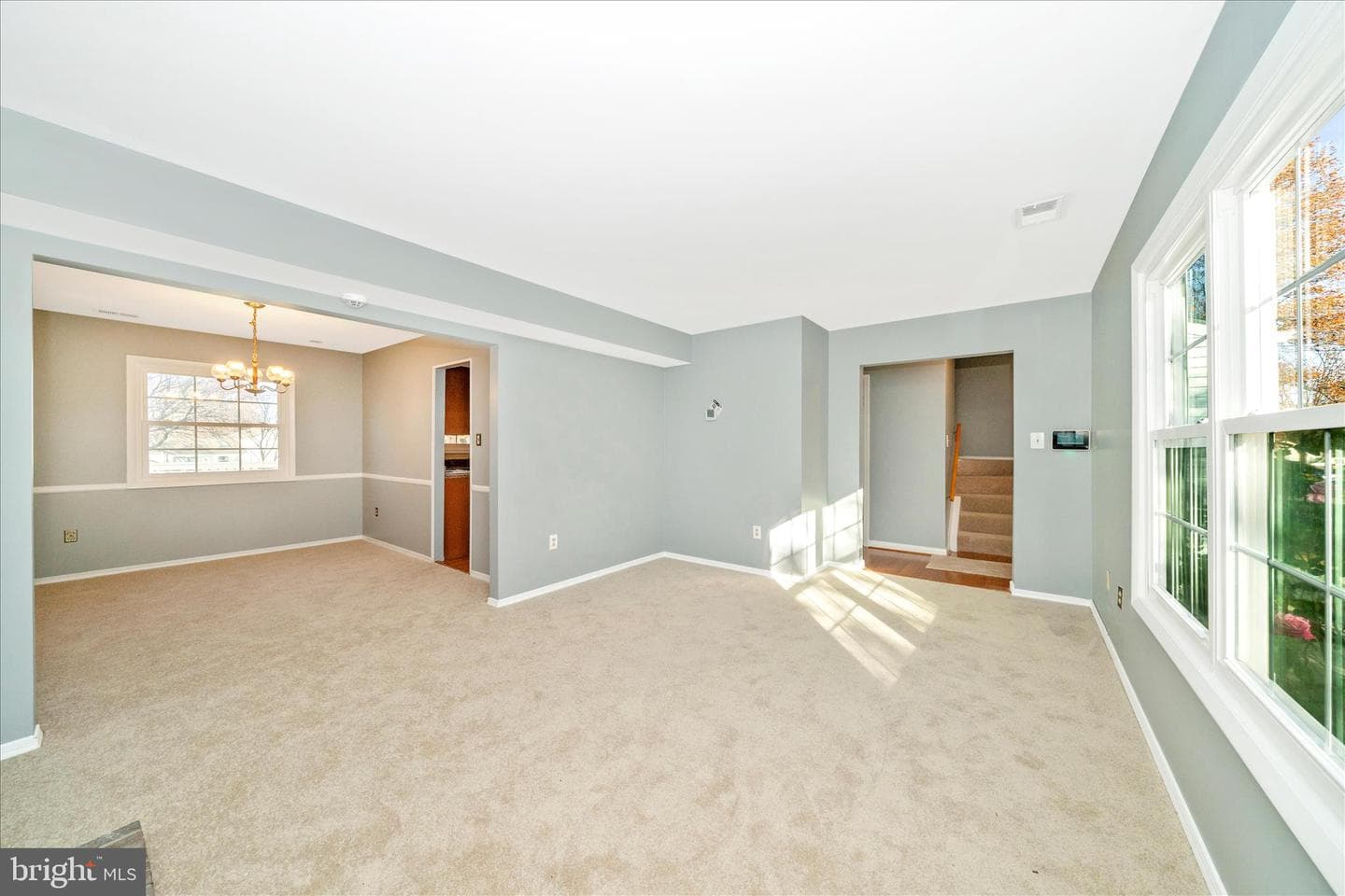 9706 New Orchard Drive photo 14