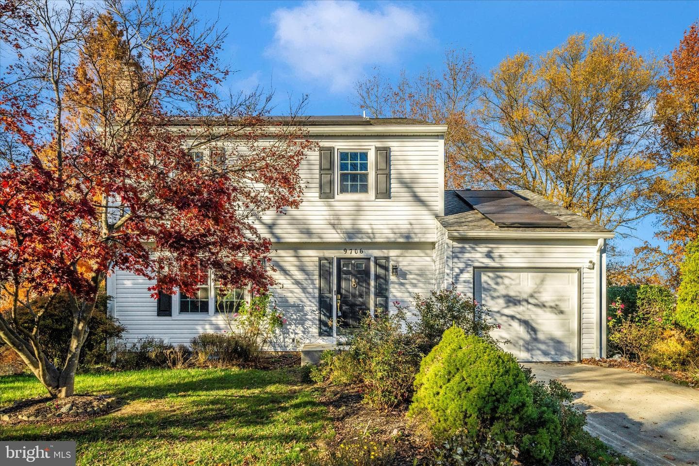 9706 New Orchard Drive photo 3