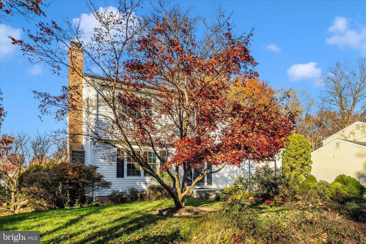 9706 New Orchard Drive photo 4