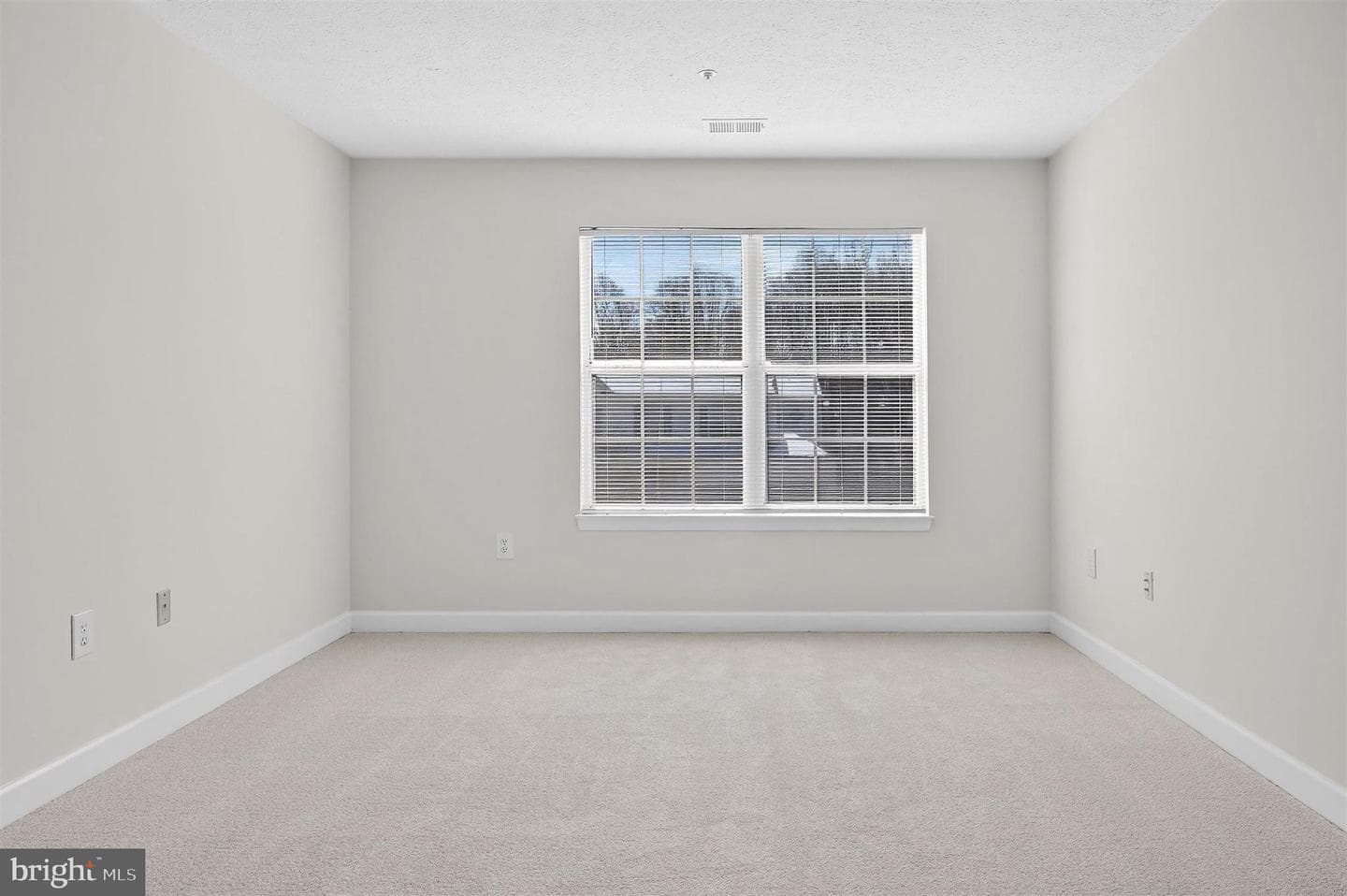 7202 Redwood Branch Court photo 11