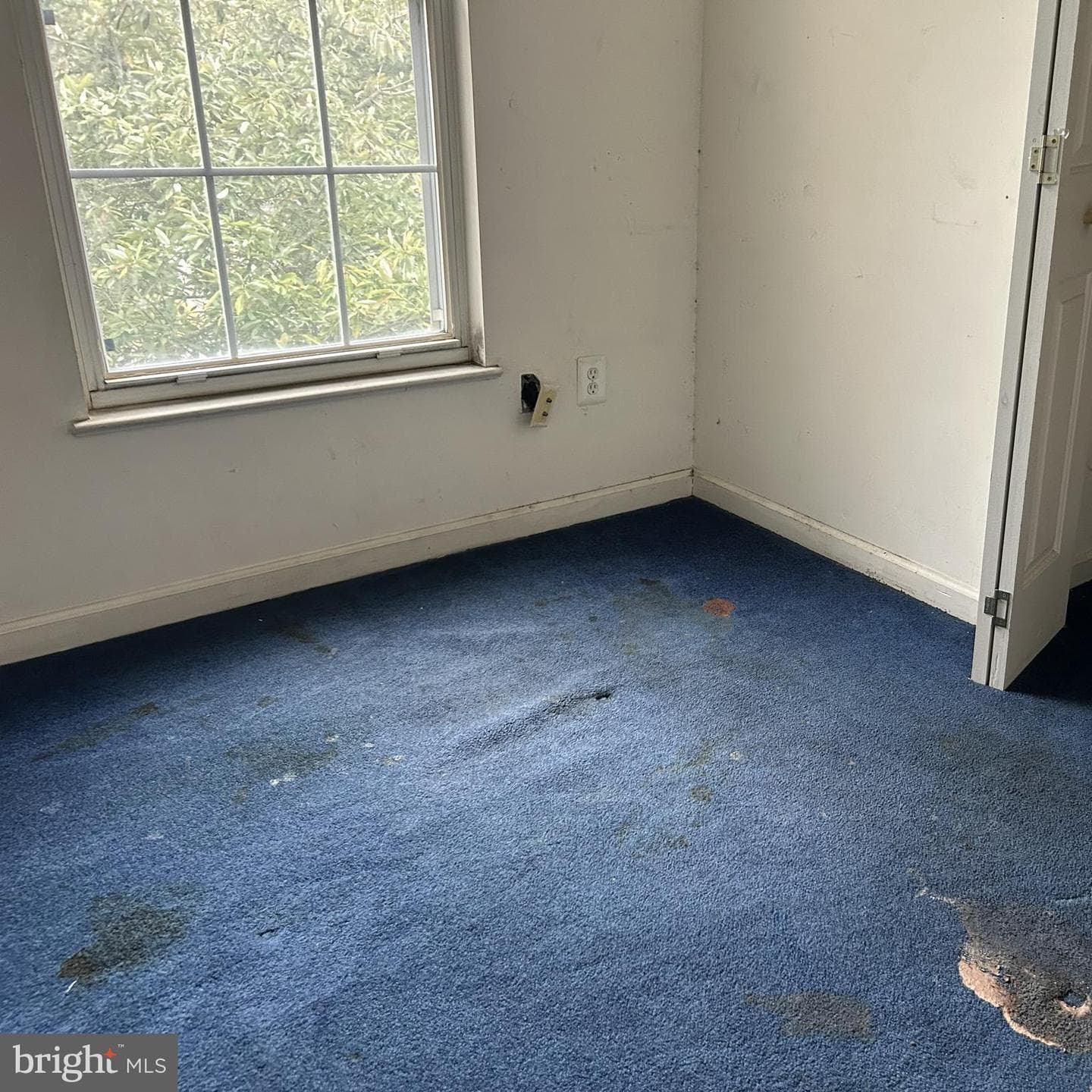 2024 S Anvil Lane photo 7