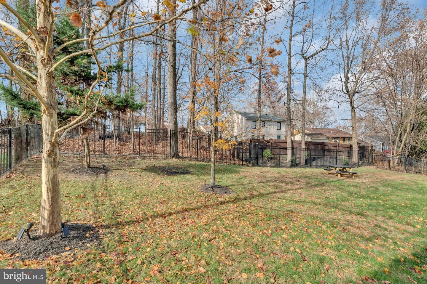 2710 Swann Wing Court photo 62