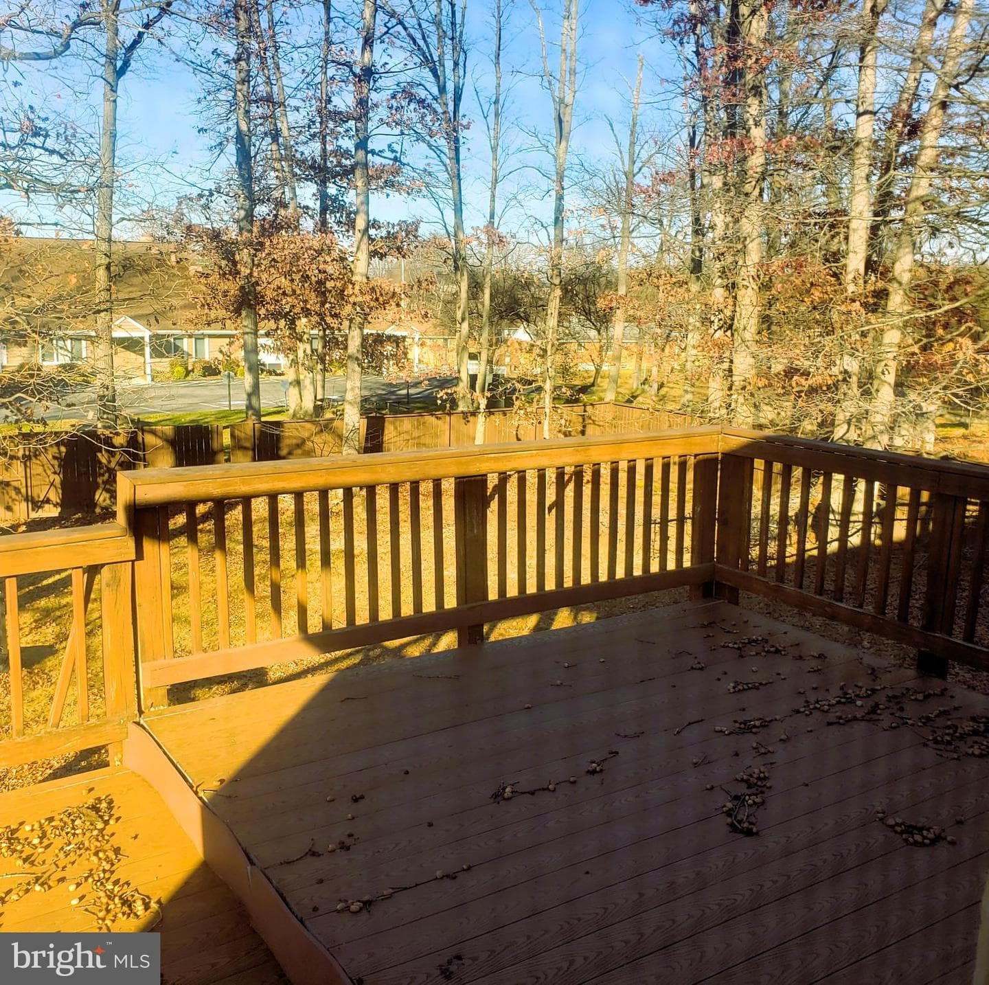 6204 Gator Place photo 5