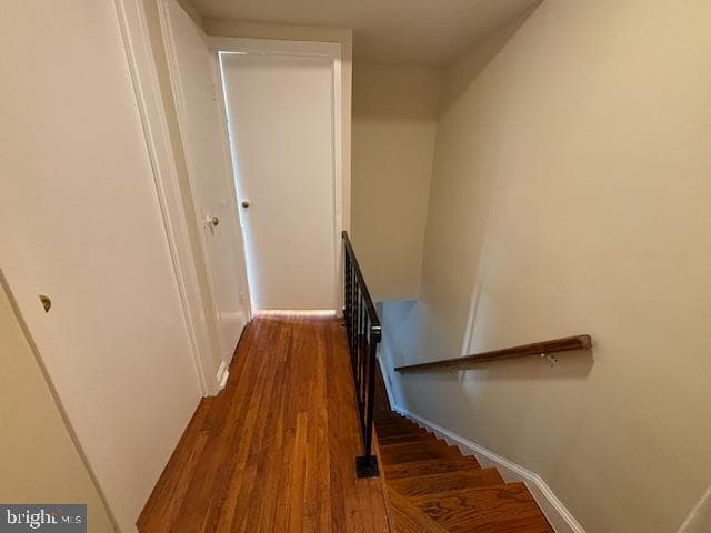 730 Audrey Lane photo 7