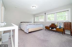 8515 Allentown Road photo 10