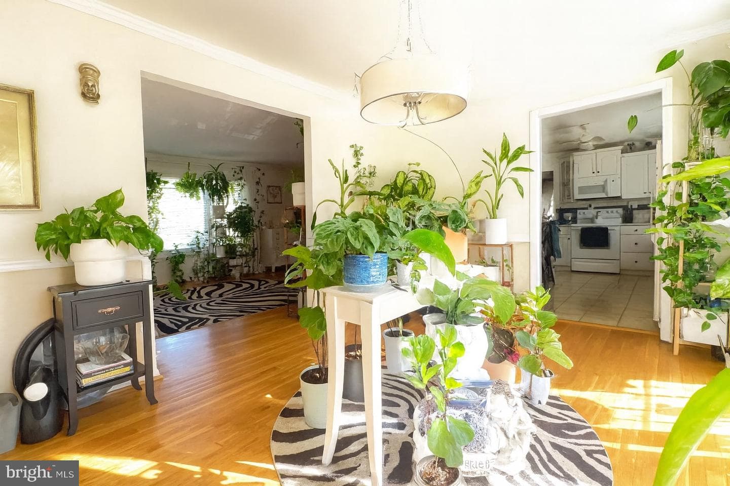 3201 Castleleigh Road photo 4