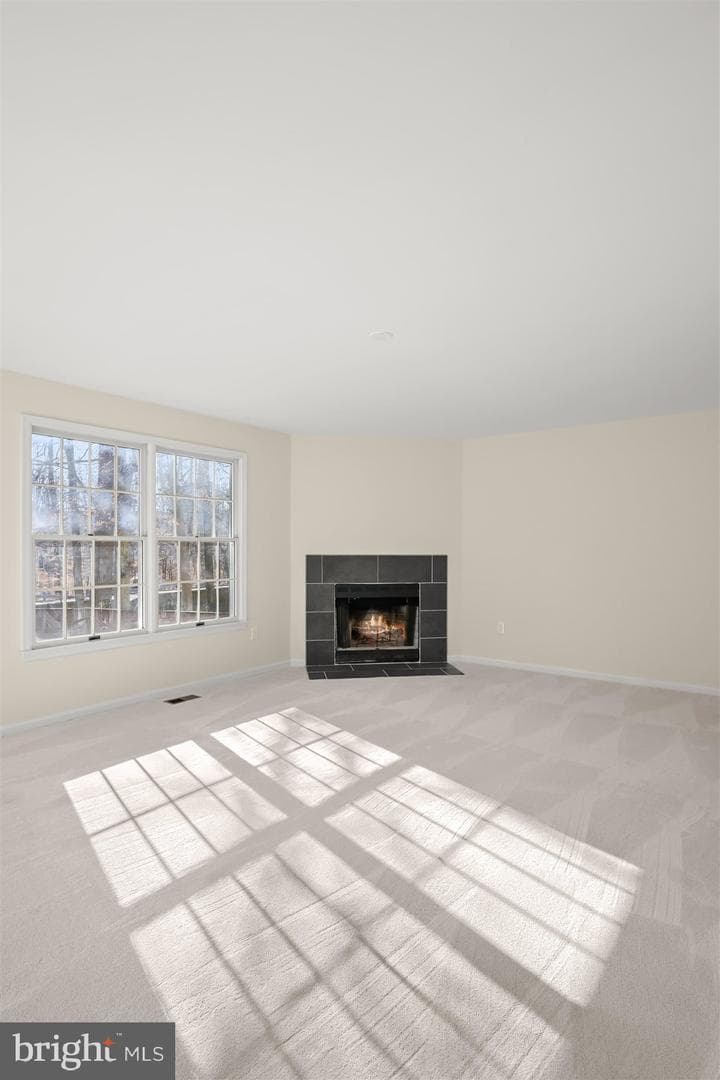 13121 Old Fletchertown Road photo 28
