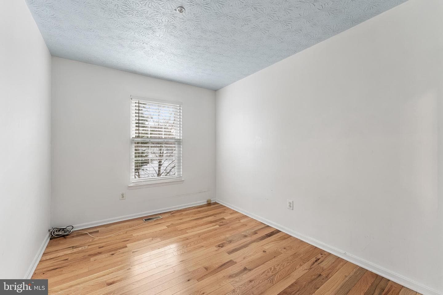 2503 Lemontree Terrace photo 14