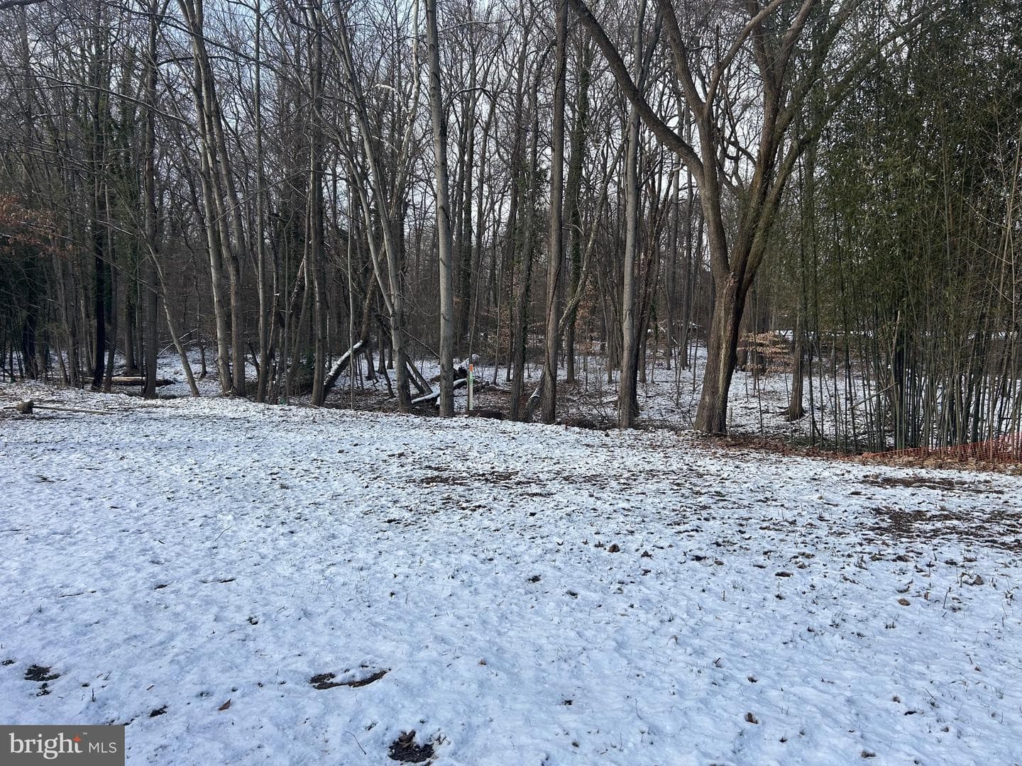 6600 Woodland Road photo 18