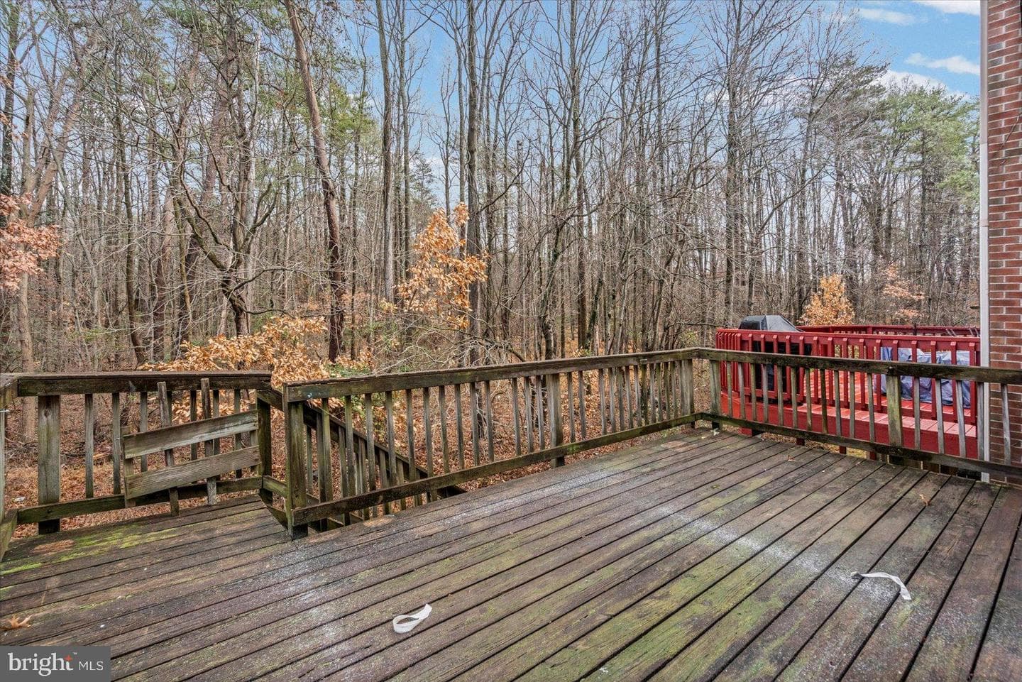 9317 Dortmund Court photo 47