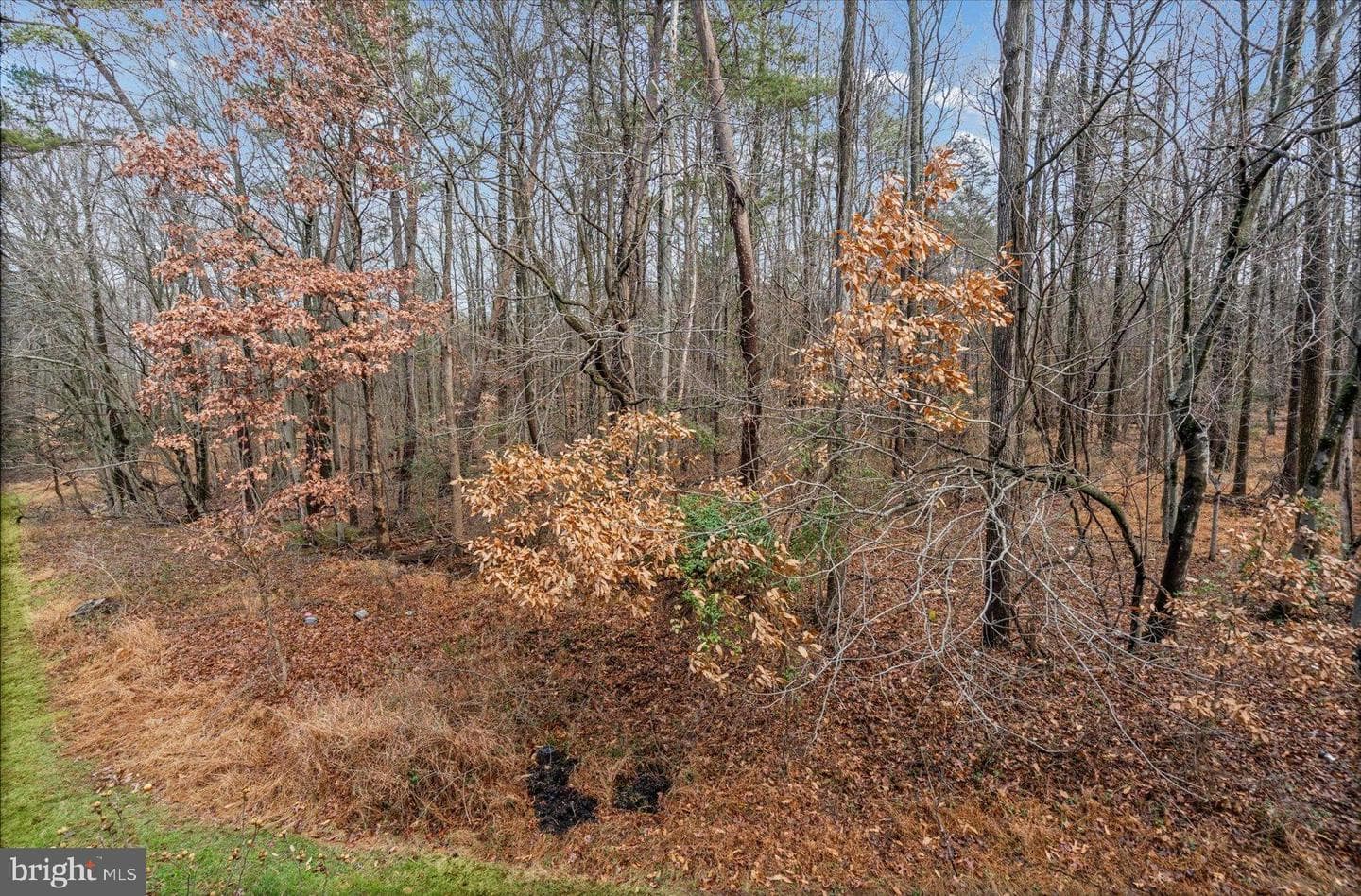 9317 Dortmund Court photo 48