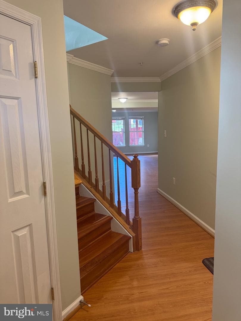 10827 Vista Gardens Drive photo 34