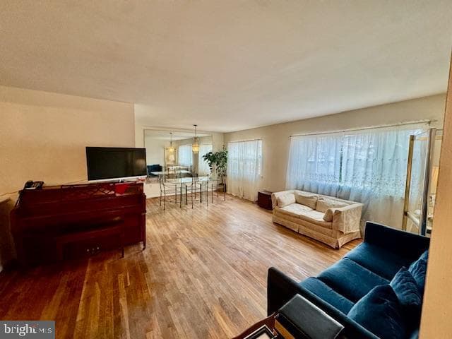 904 Stag Way photo 6