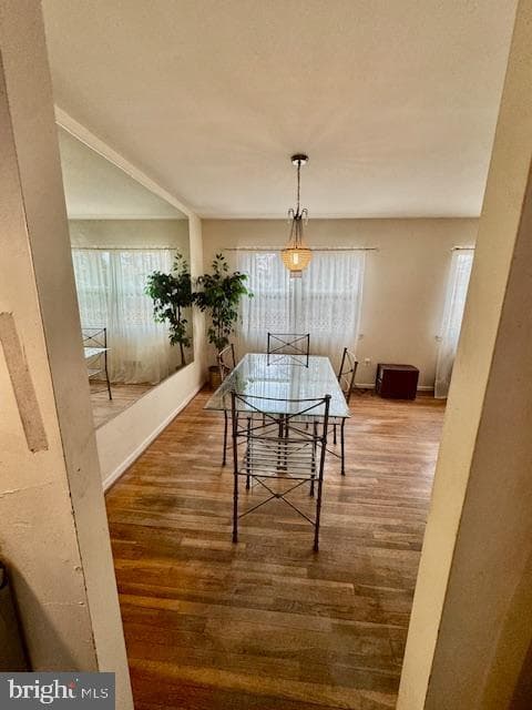 904 Stag Way photo 8