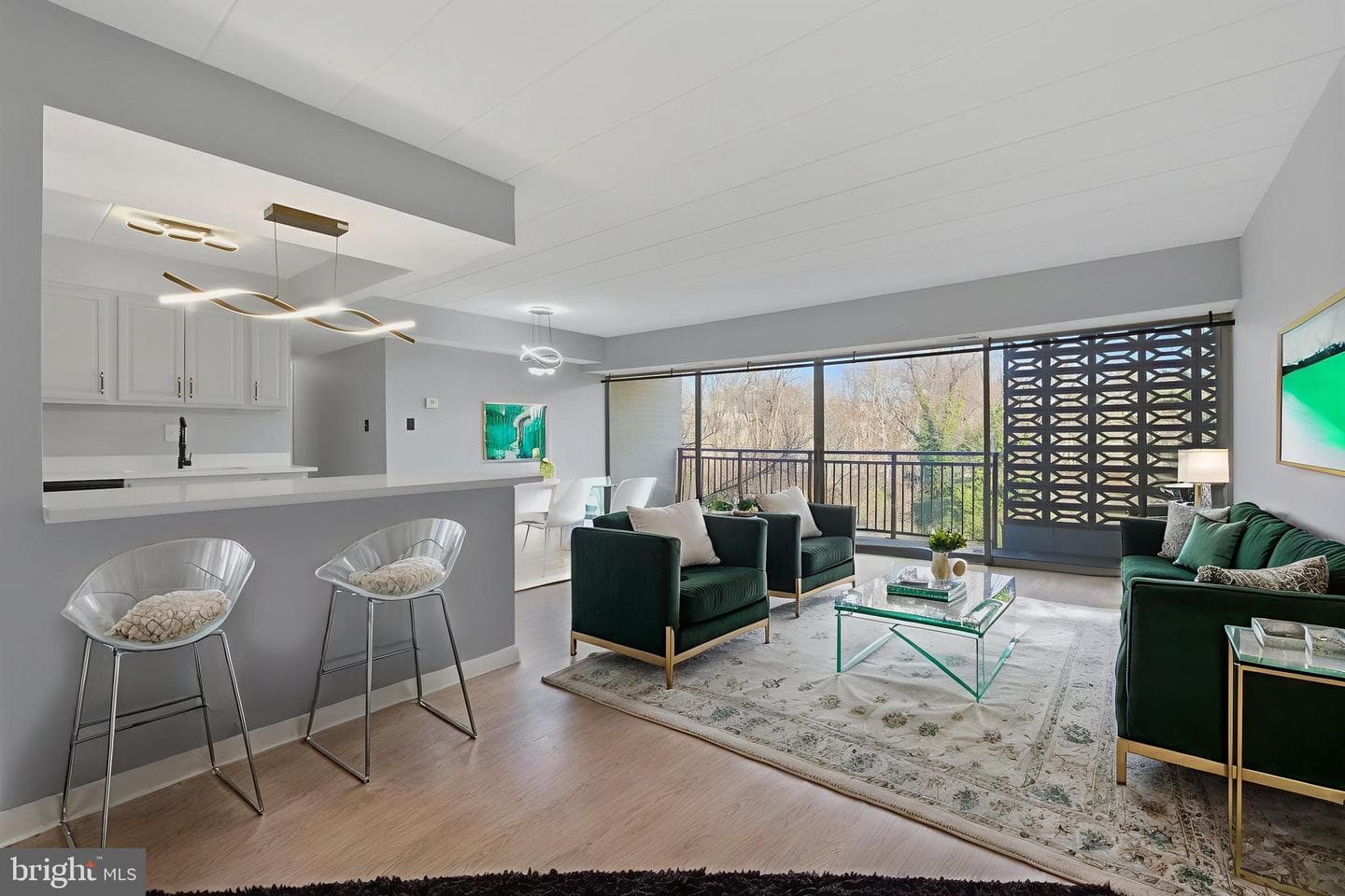 9205 New Hampshire Avenue #302 photo 9