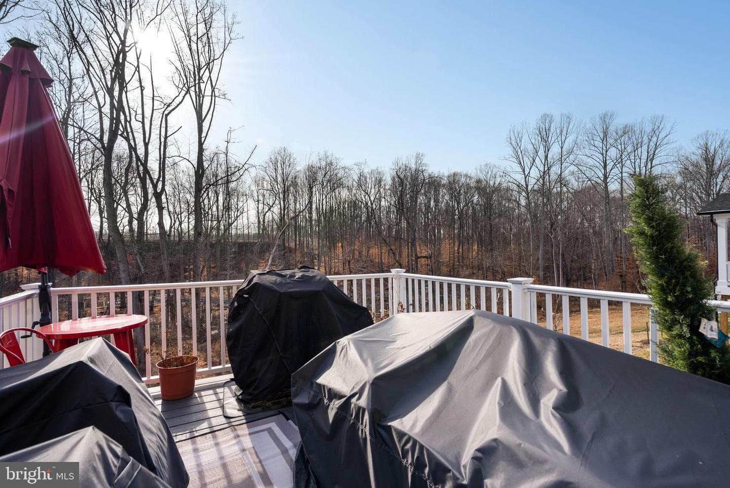 15542 Twin River Circle photo 41