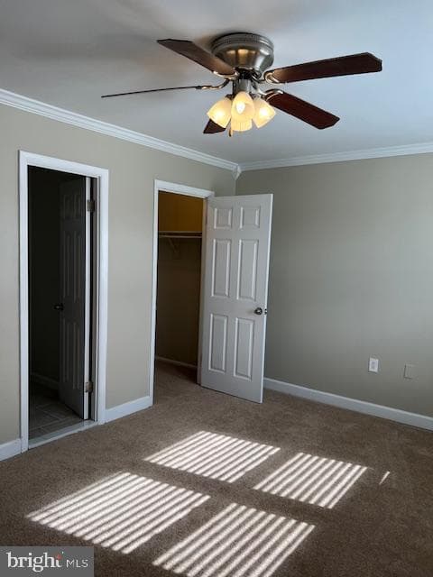 6221 Dimrill Court photo 55
