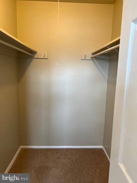 6221 Dimrill Court photo 61