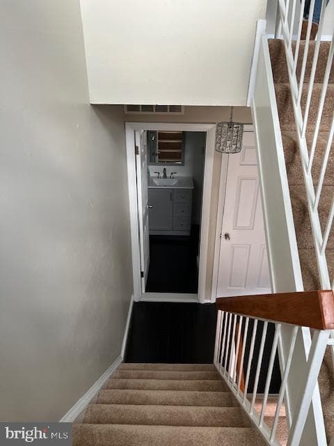 6221 Dimrill Court photo 67