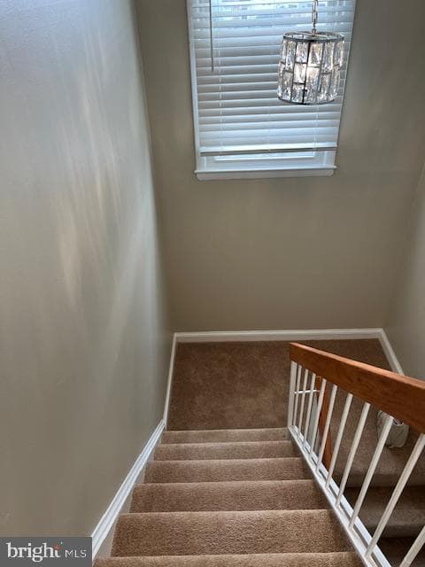 6221 Dimrill Court photo 68