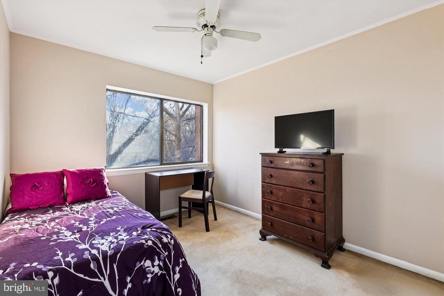 8231 Canning Terrace photo 41