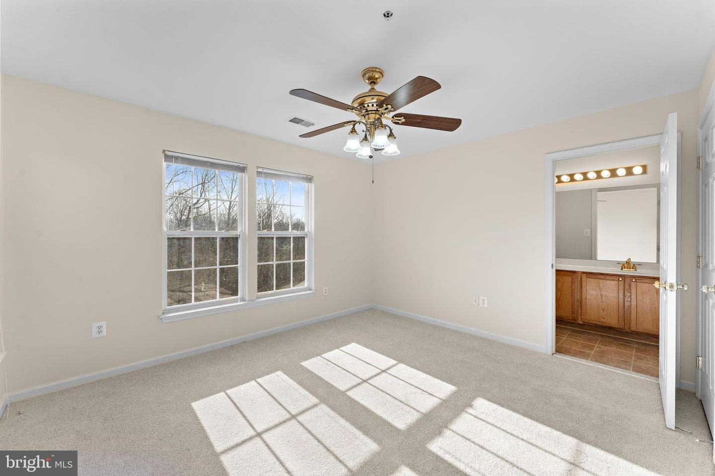 4223 Medallion Drive photo 38