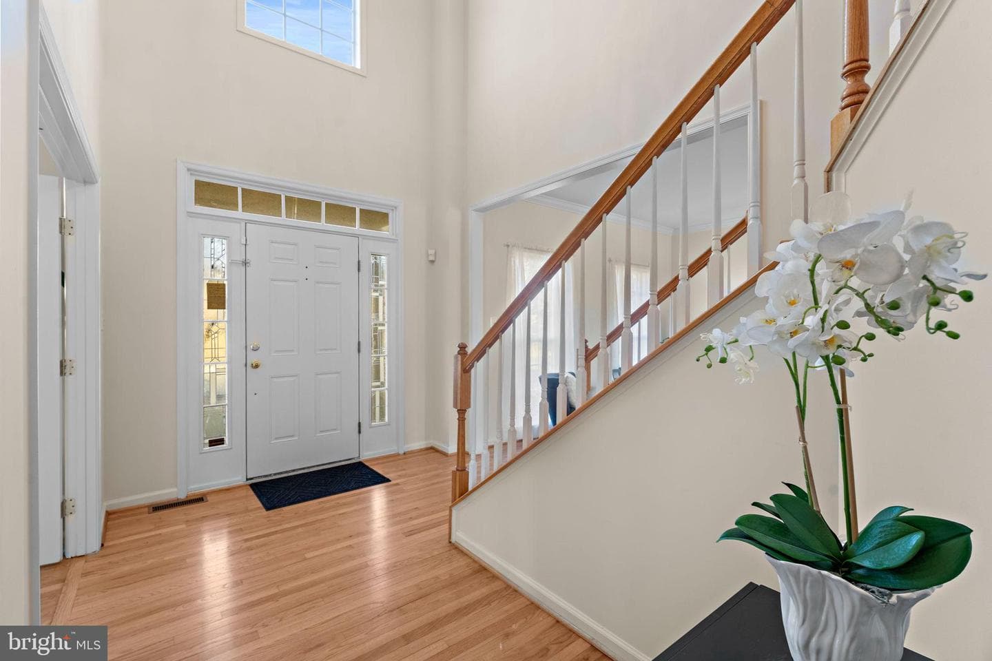 4223 Medallion Drive photo 8