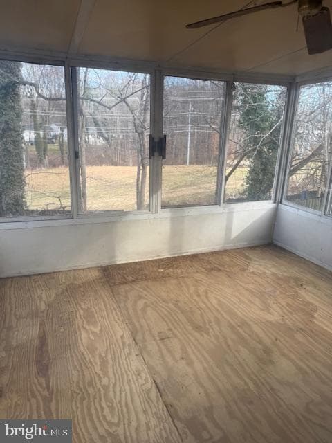 7310 Aquinas Avenue photo 5