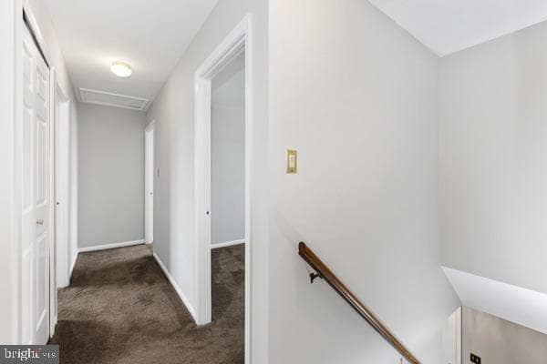 10308 Musket Court photo 40
