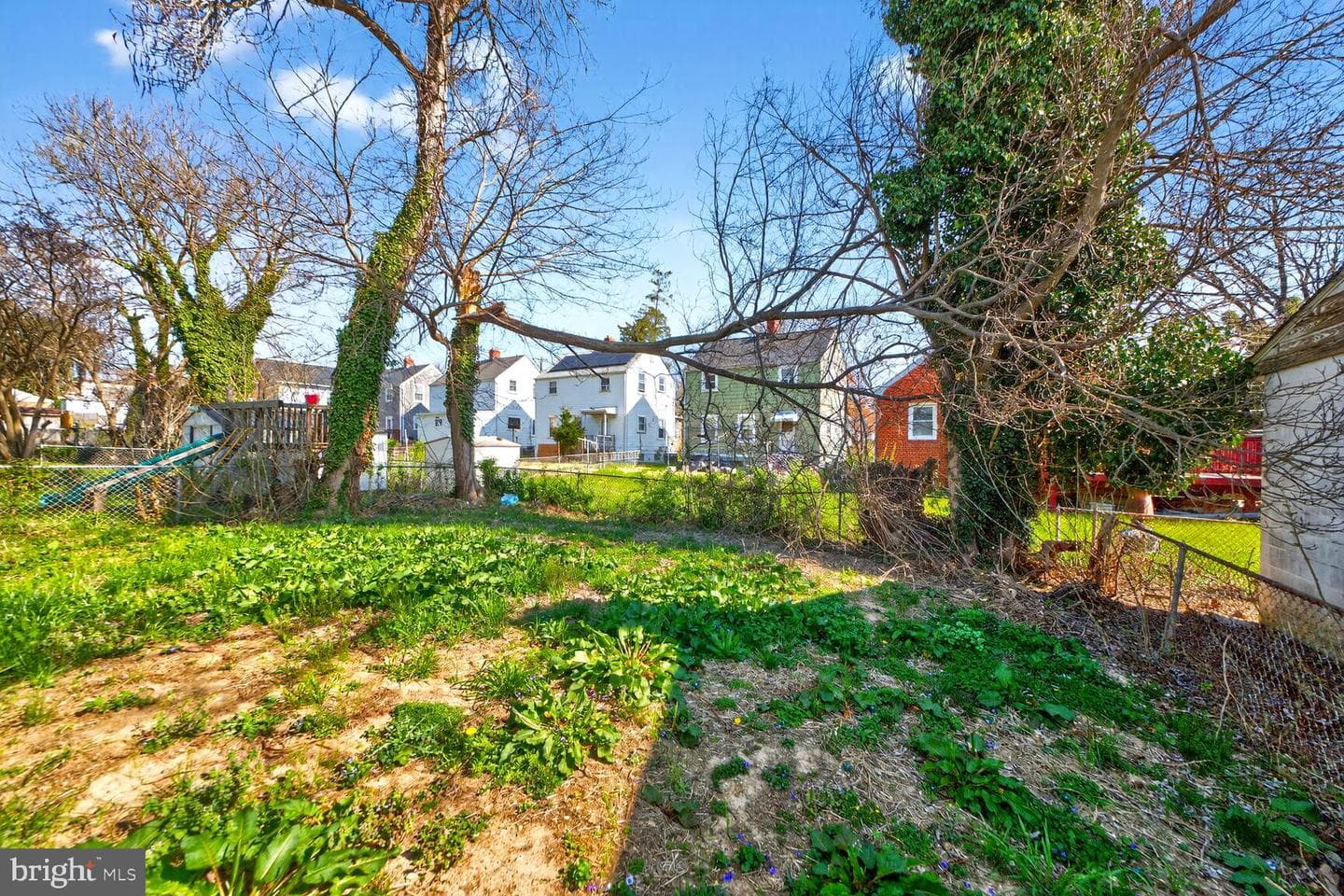 4312 Vine Street photo 30