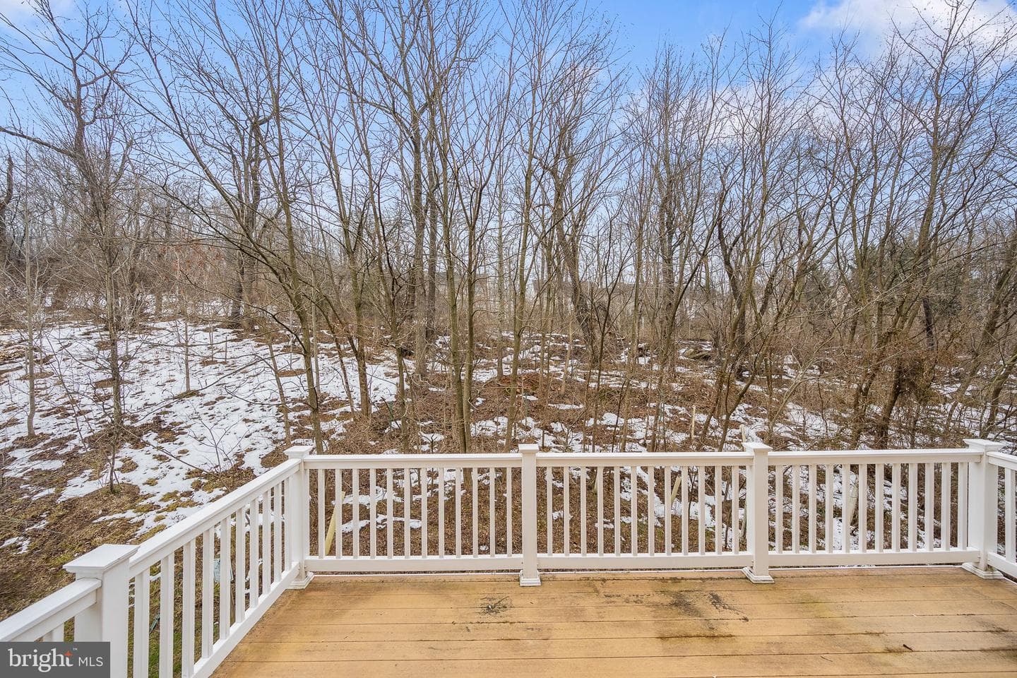 12613 Rustic Rock Lane photo 36