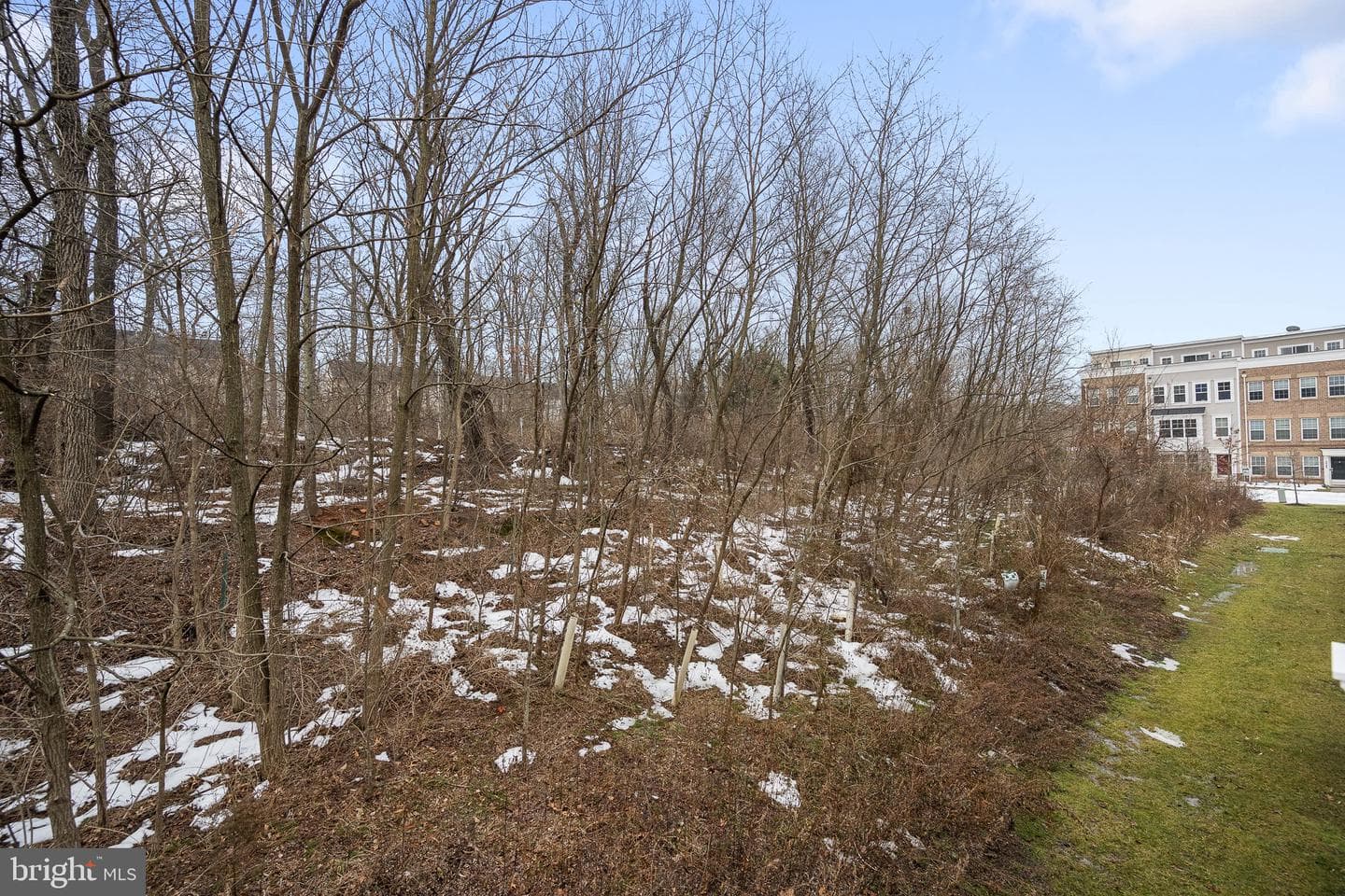 12613 Rustic Rock Lane photo 38