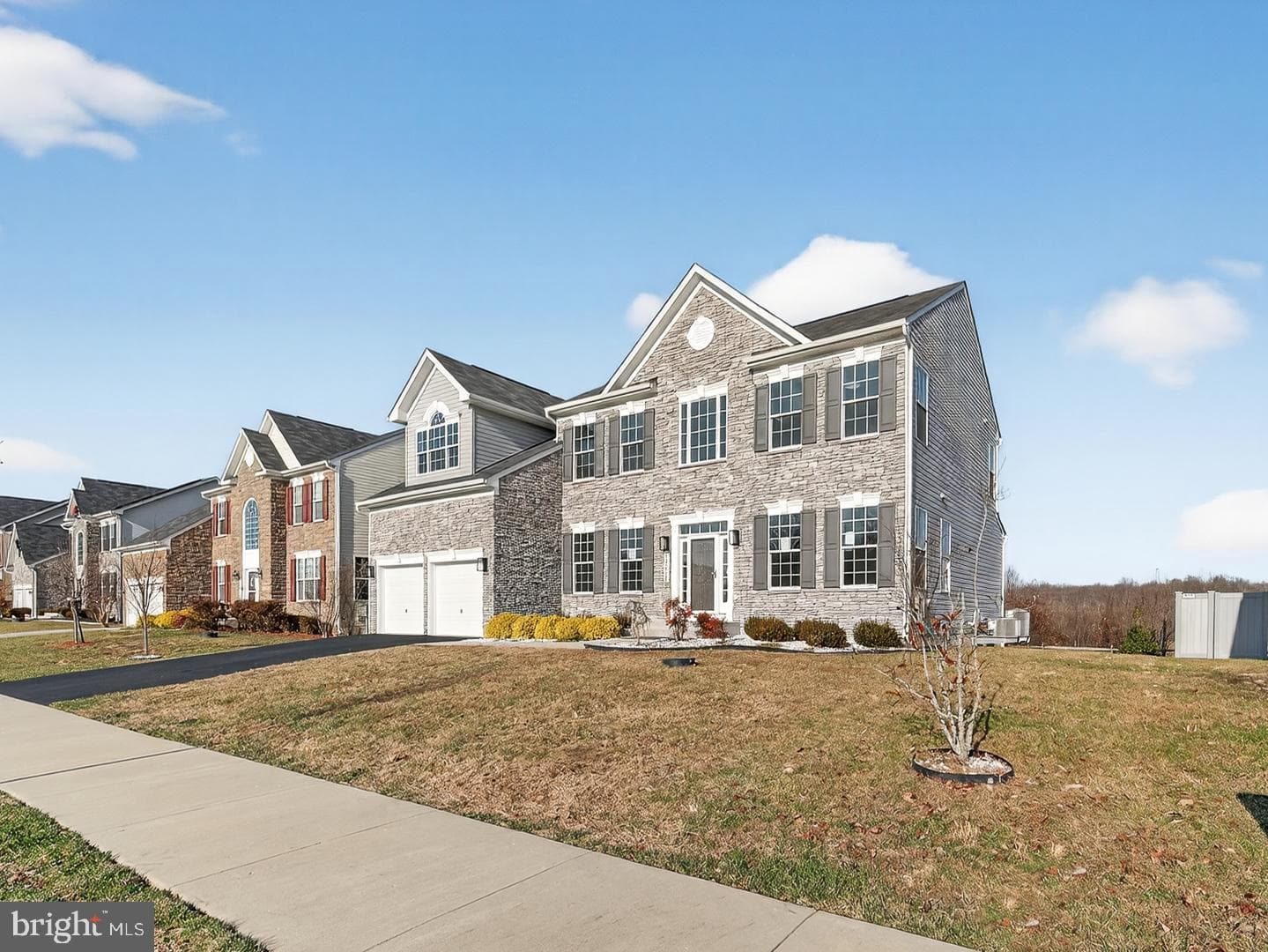 10612 Sir Brendan Avenue photo 4