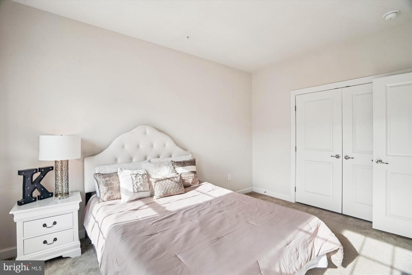 5437 Stream Bank Lane photo 43