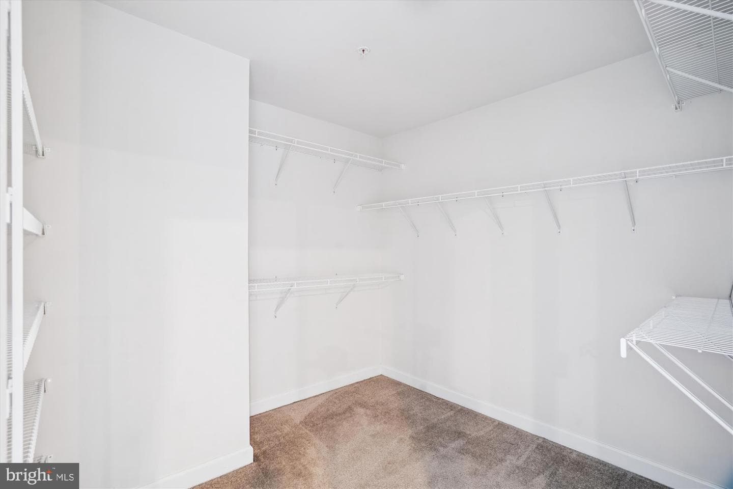 5437 Stream Bank Lane photo 50